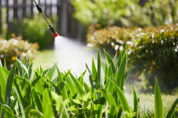 24/7 Emergency Termite Control experts in Loganville, GA